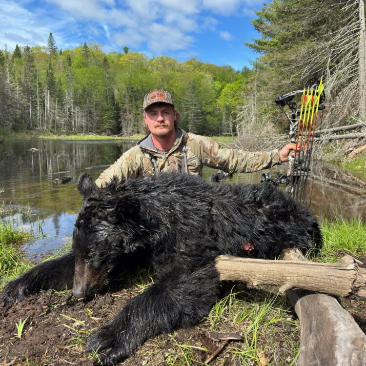 Forfait chasse à l'ours noir (plan européen ou américain) — Pourvoirie Claude Gravelle Outfitter – Pourvoirie Claude Gravelle Outfitter